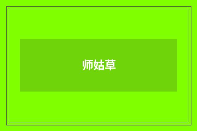 师姑草