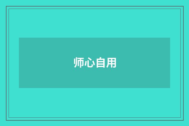 师心自用