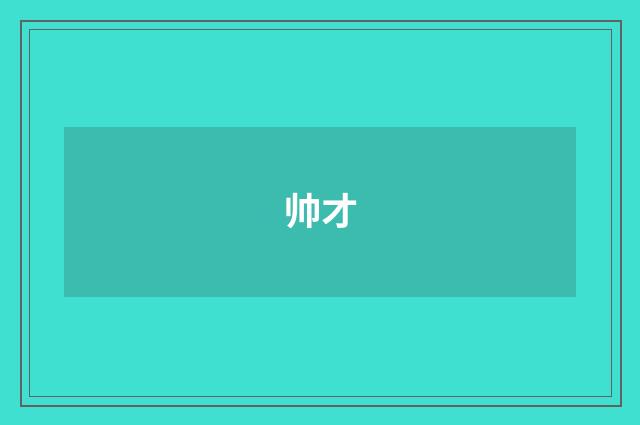 帅才