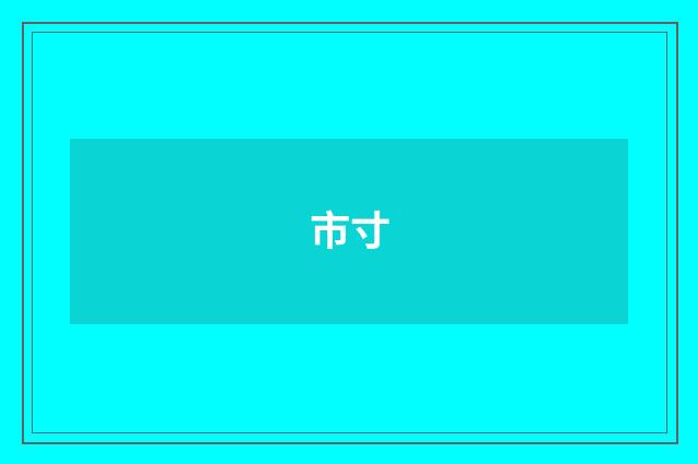 市寸