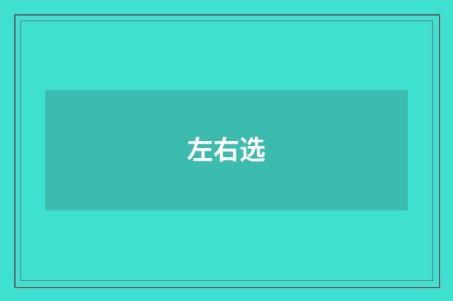 左右选