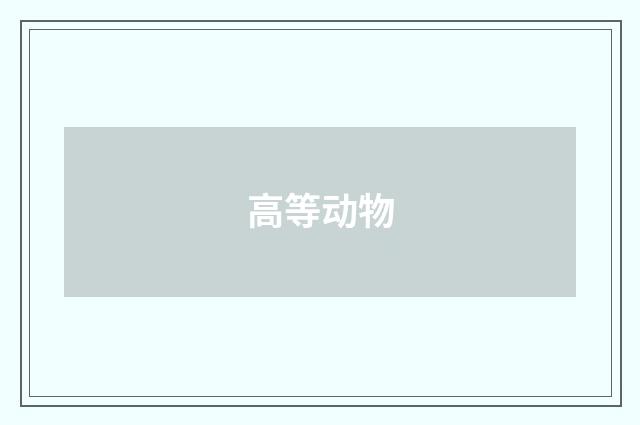 高等动物