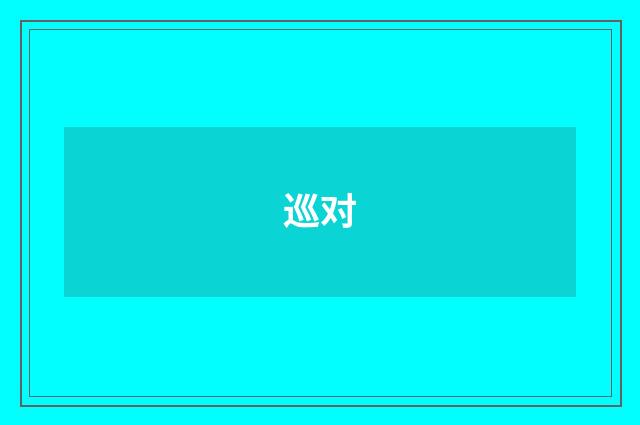 巡对