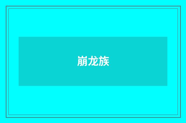 崩龙族