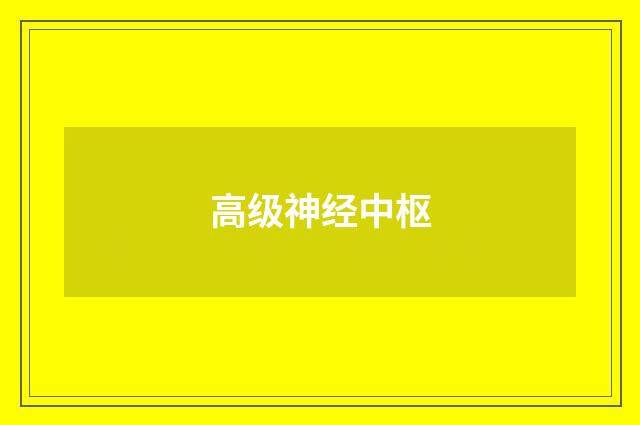 高级神经中枢