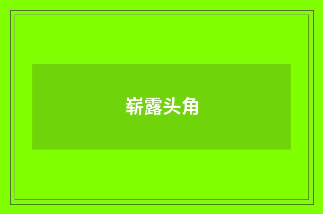 崭露头角