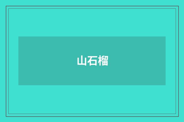 山石榴