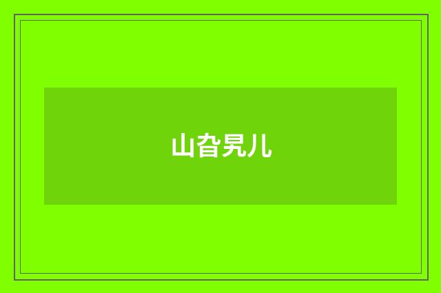 山旮旯儿
