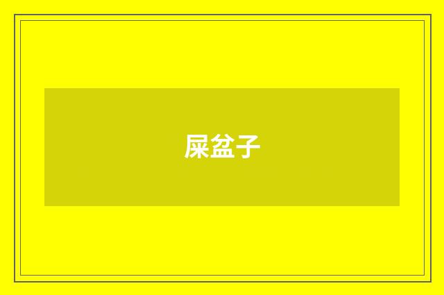 屎盆子