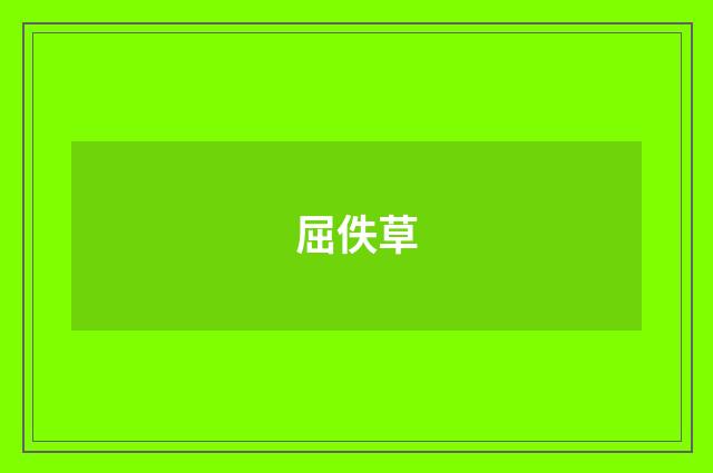 屈佚草