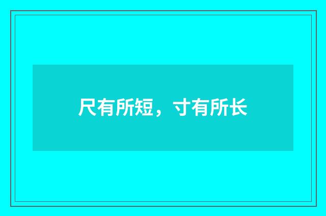 尺有所短，寸有所长