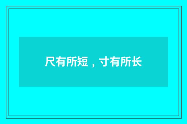 尺有所短﹐寸有所长