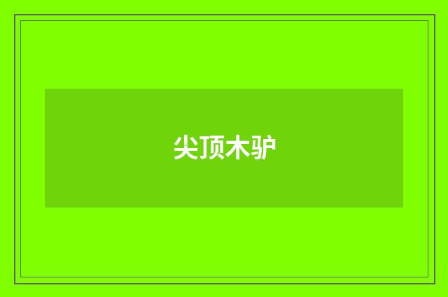 尖顶木驴