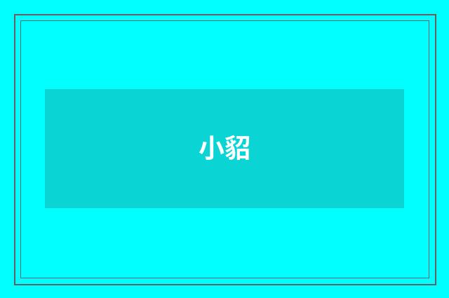 小貂