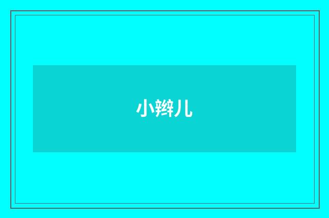 小辫儿