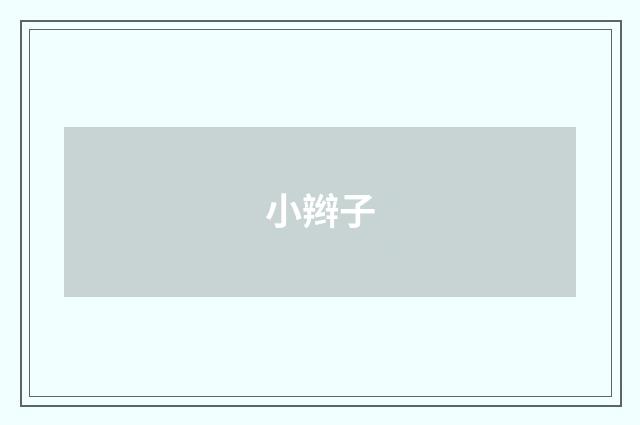 小辫子