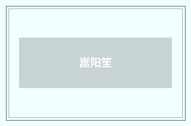 嵩阳笙