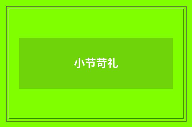 小节苛礼