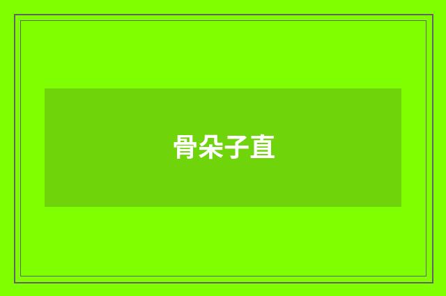 骨朵子直