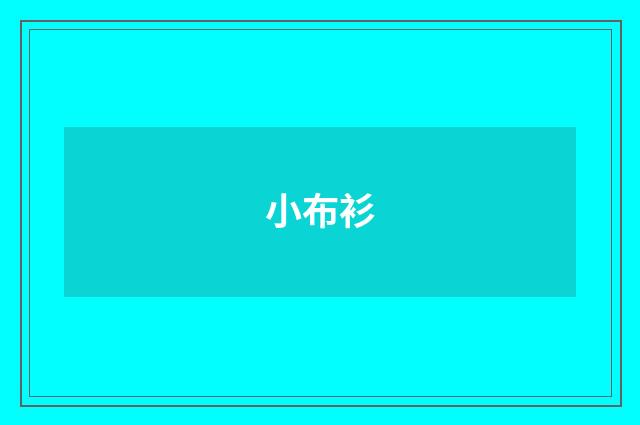 小布衫