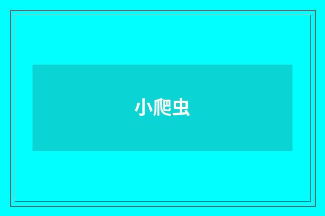 小爬虫