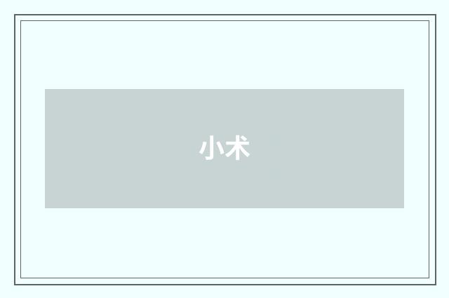 小术