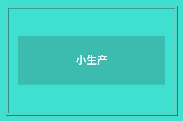 小生产