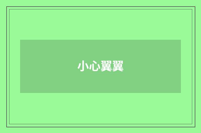 小心翼翼