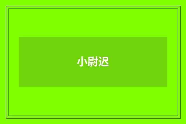 小尉迟