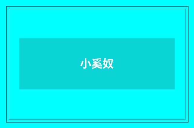 小奚奴