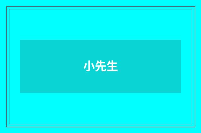 小先生