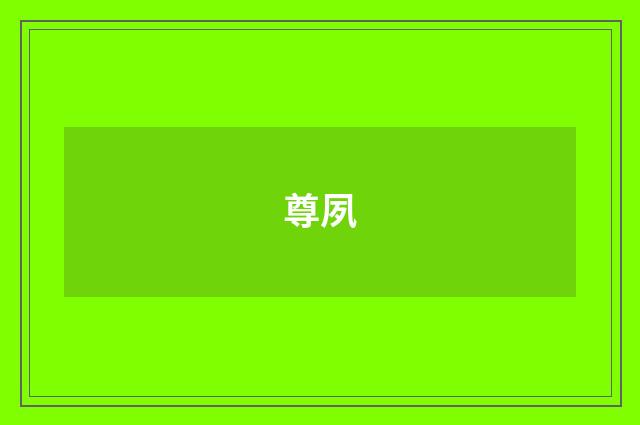 尊夙