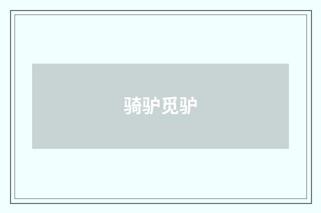 骑驴觅驴
