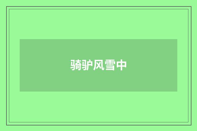 骑驴风雪中