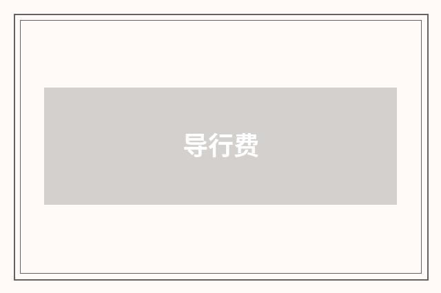 导行费