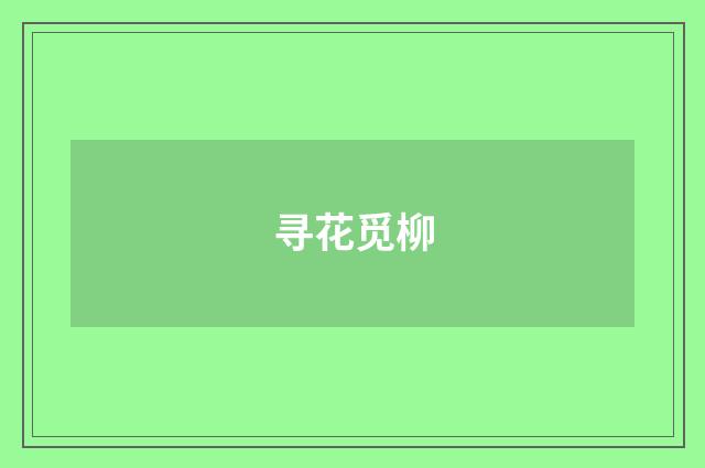 寻花觅柳