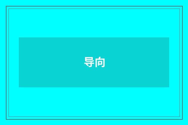 导向