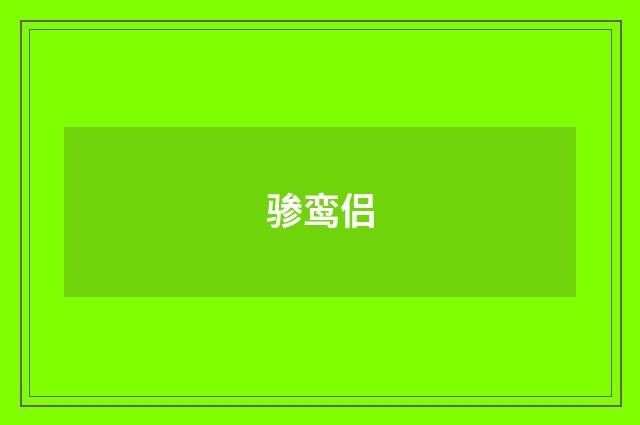 骖鸾侣