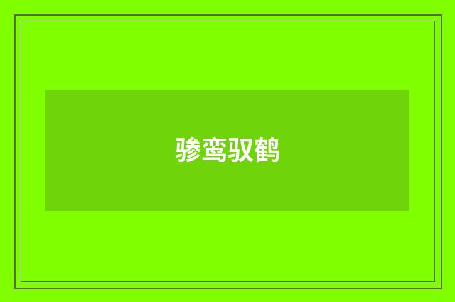 骖鸾驭鹤