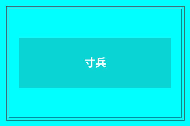 寸兵