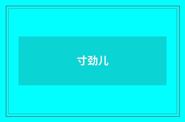 寸劲儿