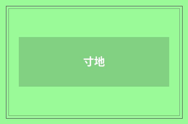 寸地