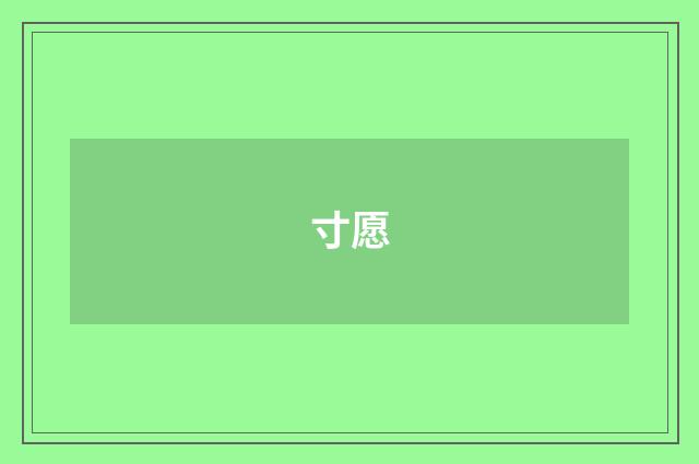 寸愿