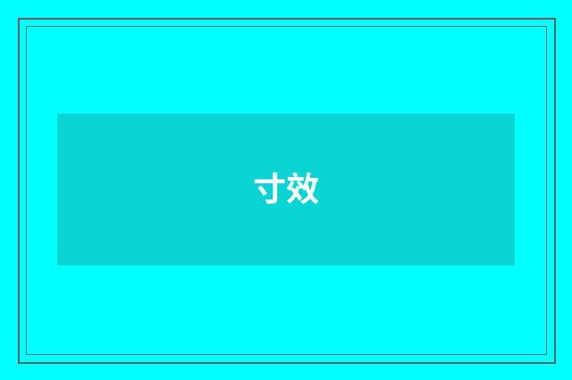 寸效