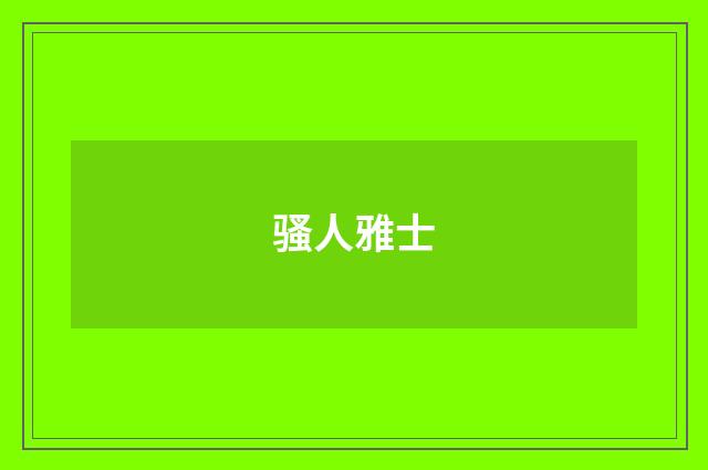 骚人雅士