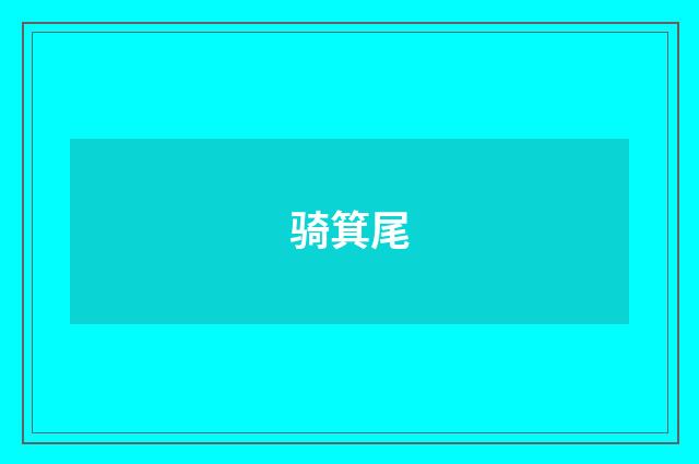 骑箕尾