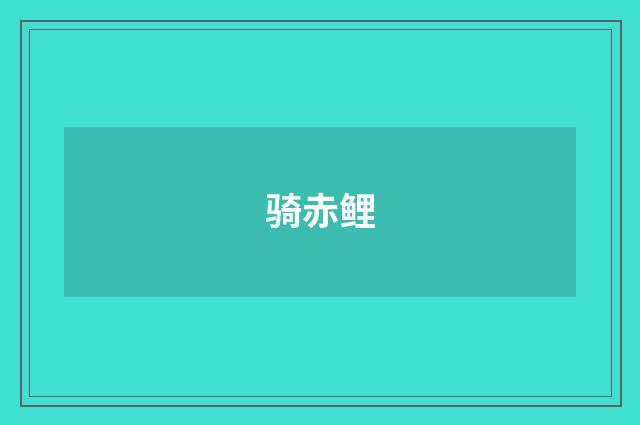 骑赤鲤