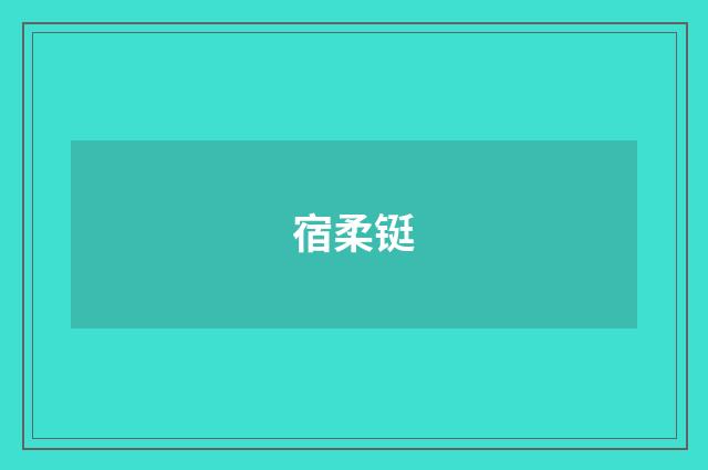 宿柔铤