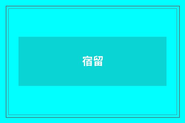 宿留