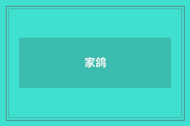 家鸽